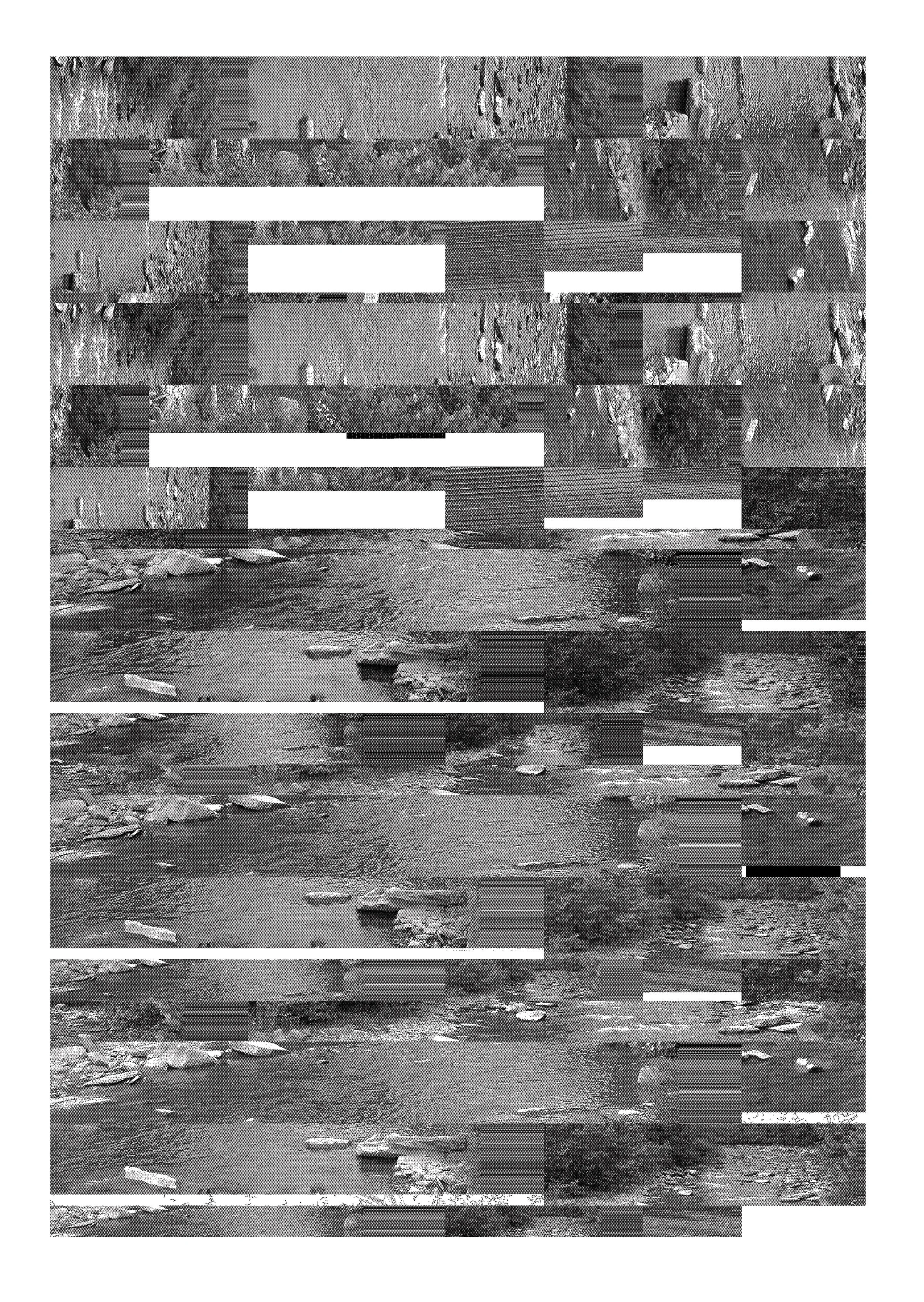 theblackwaterWEB.jpg