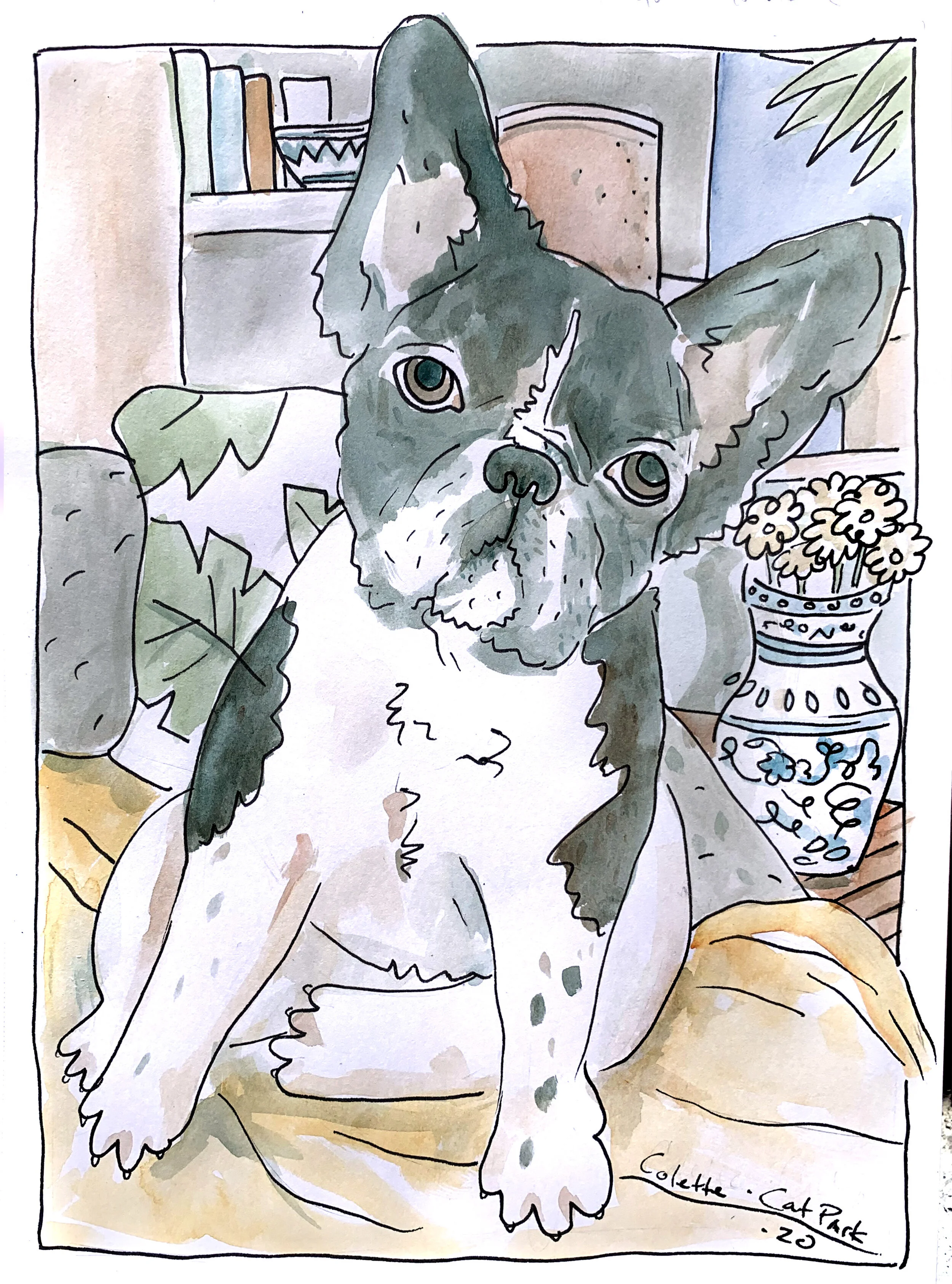 Pet Portraits for Philly Mutual Aid, 2020 