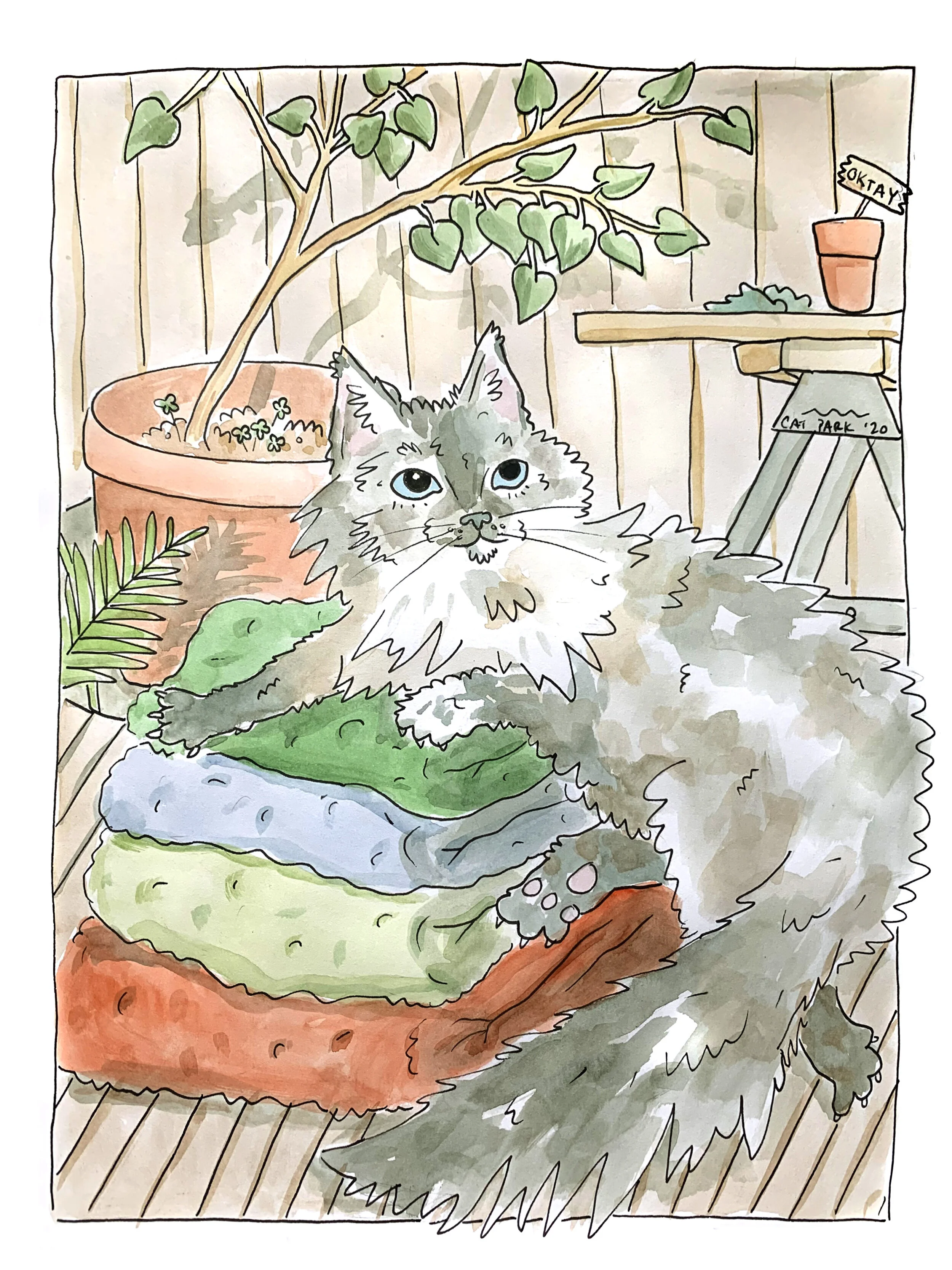 Pet Portraits for RHD Morris Home, 2020 