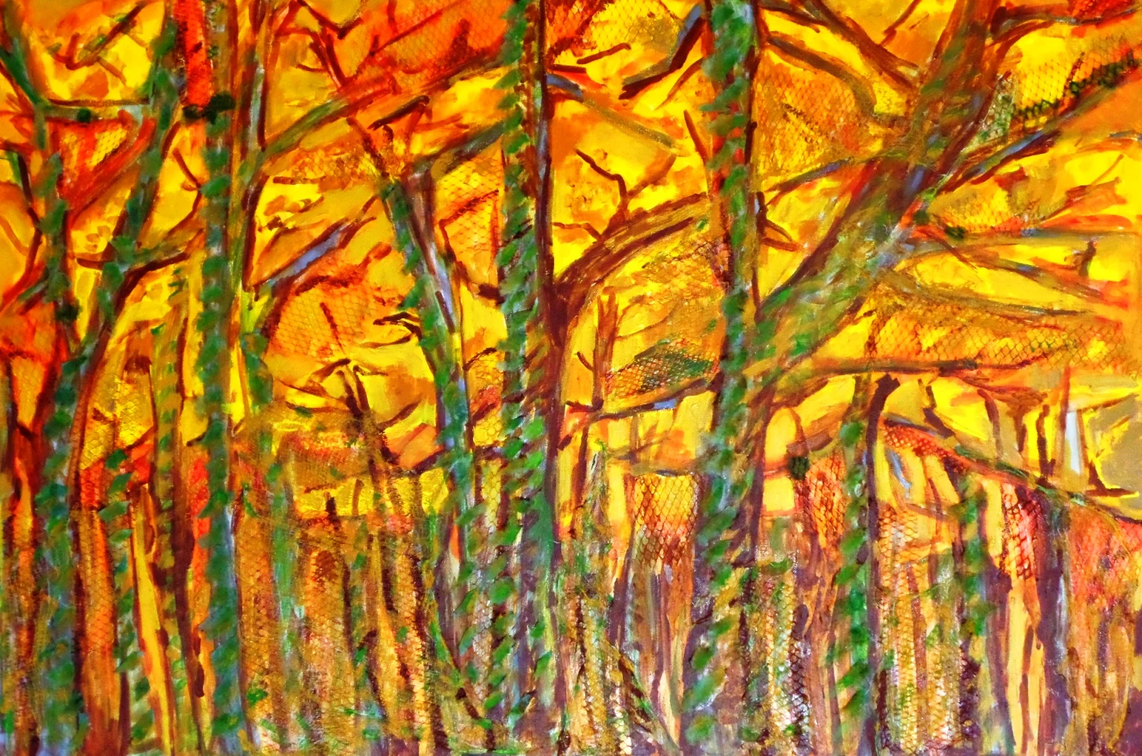 Lenga forest. Sold