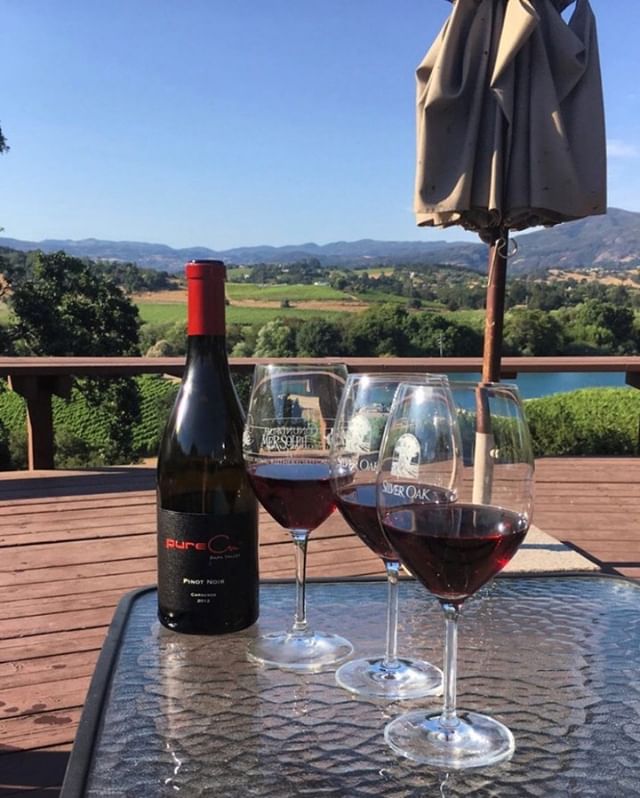 An every day wine that pairs with so many different kinds of food, this Pinot Noir from pureCru is a medium full bodied wine that holds scents of roses, spices and rich earth-mineral notes.
PC: @lacymichelle10
&bull;
&bull;
&bull;
&bull;
&bull;
#napa