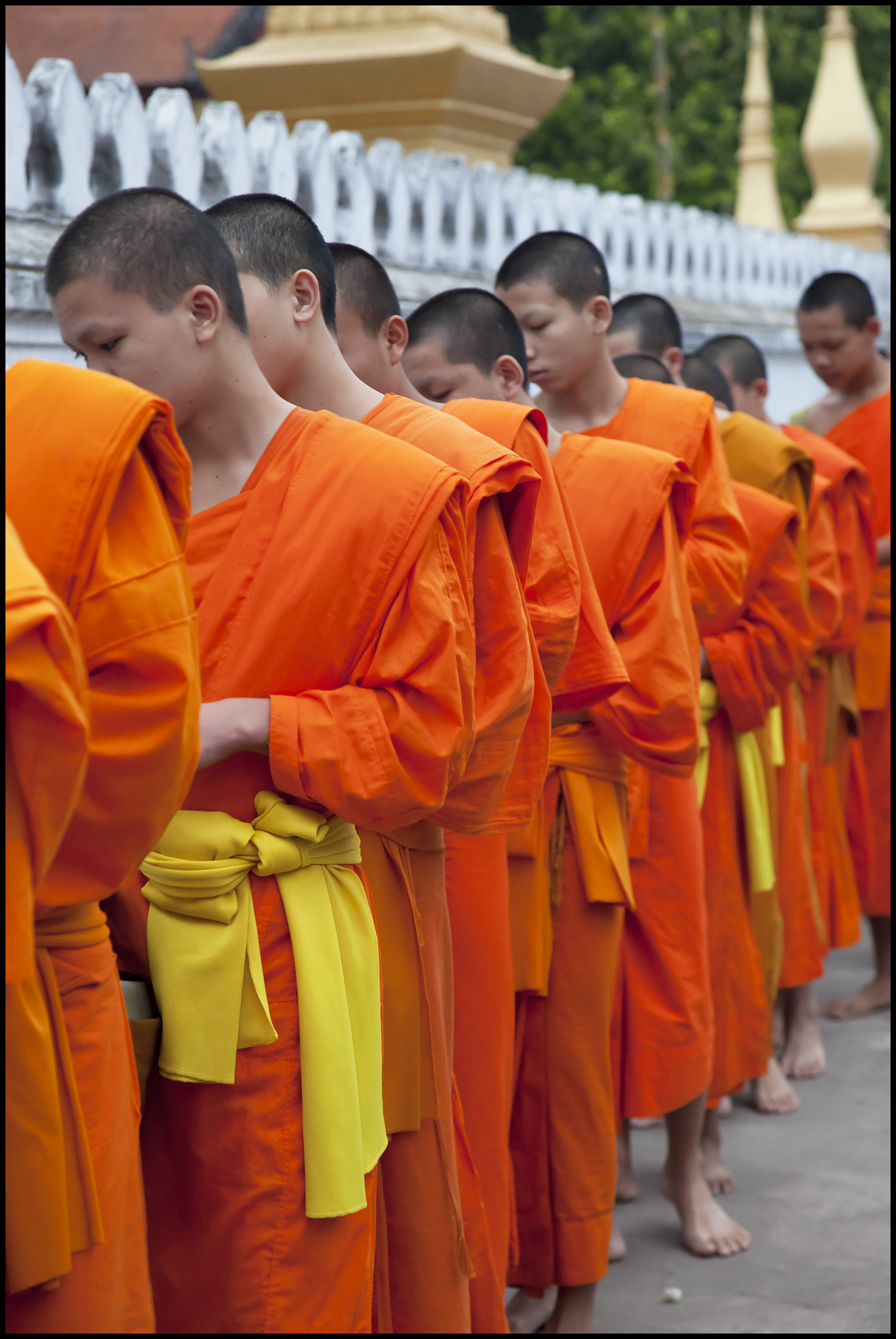 Teenage Monks 5-3-11 15 inch.jpg