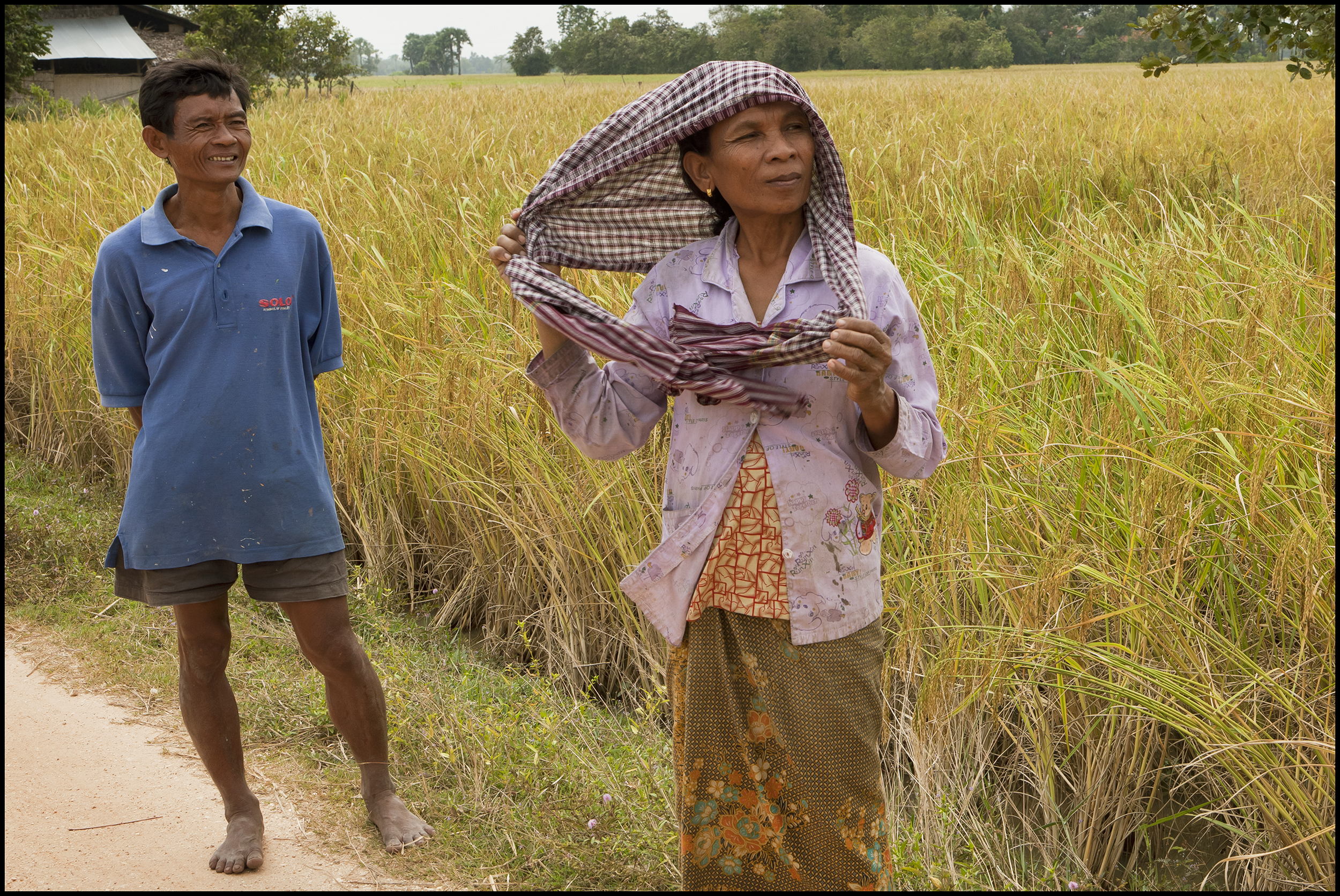 Cambodian rice farmer 2.jpg