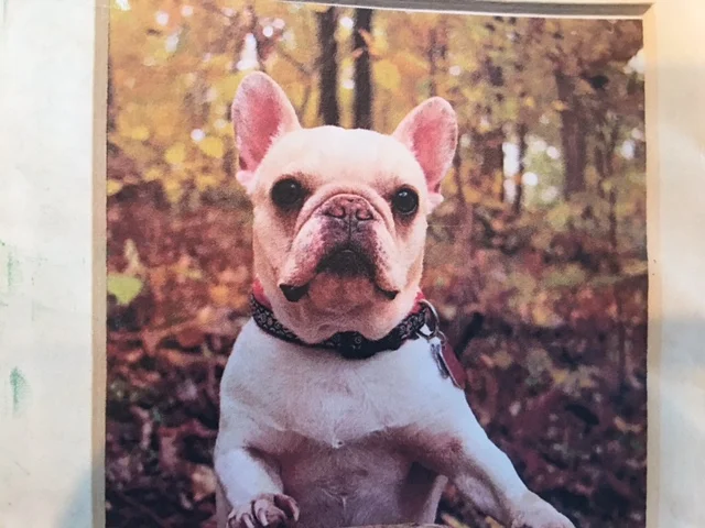 FullSizeRender 14.jpg