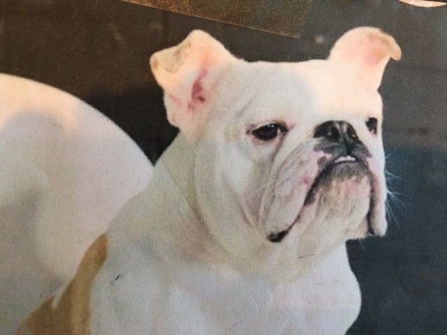 FullSizeRender 12.jpg