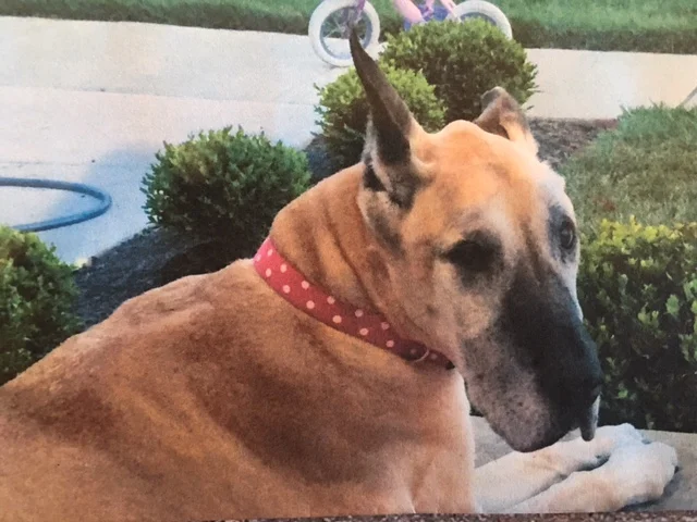 FullSizeRender 2.jpg