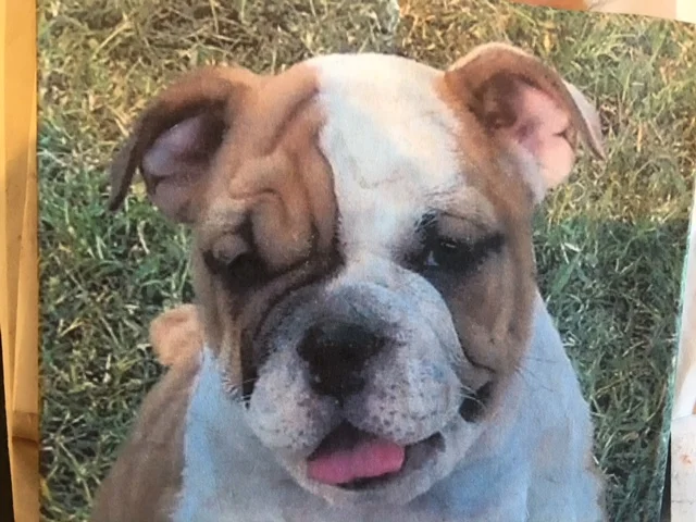 FullSizeRender 10.jpg