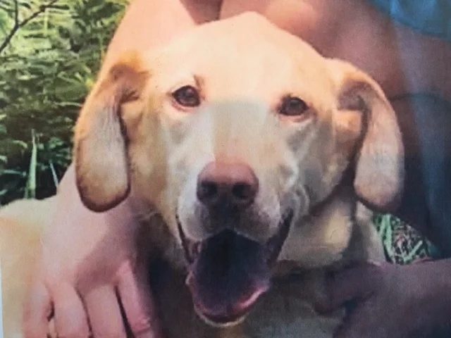 FullSizeRender 4.jpg