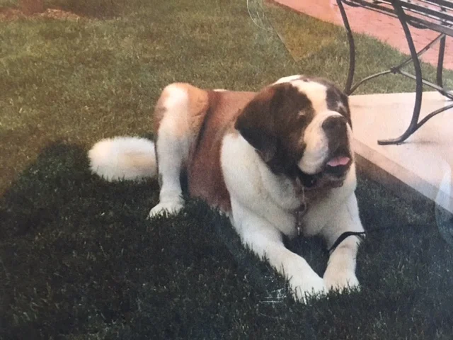 FullSizeRender 13.jpg