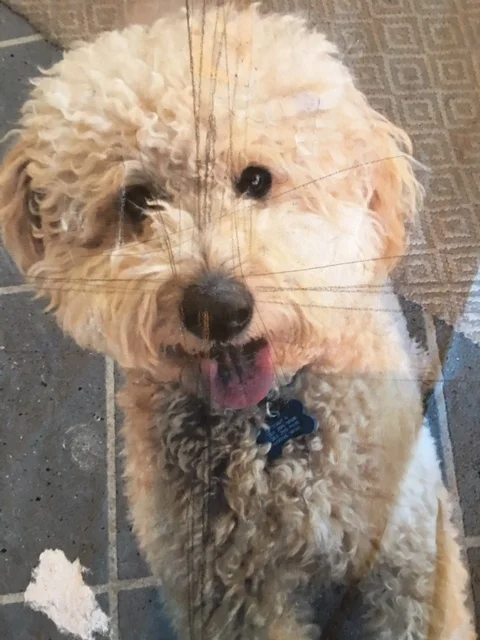 FullSizeRender 19.jpg