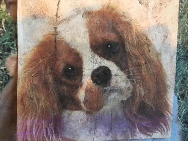 FullSizeRender 9.jpg