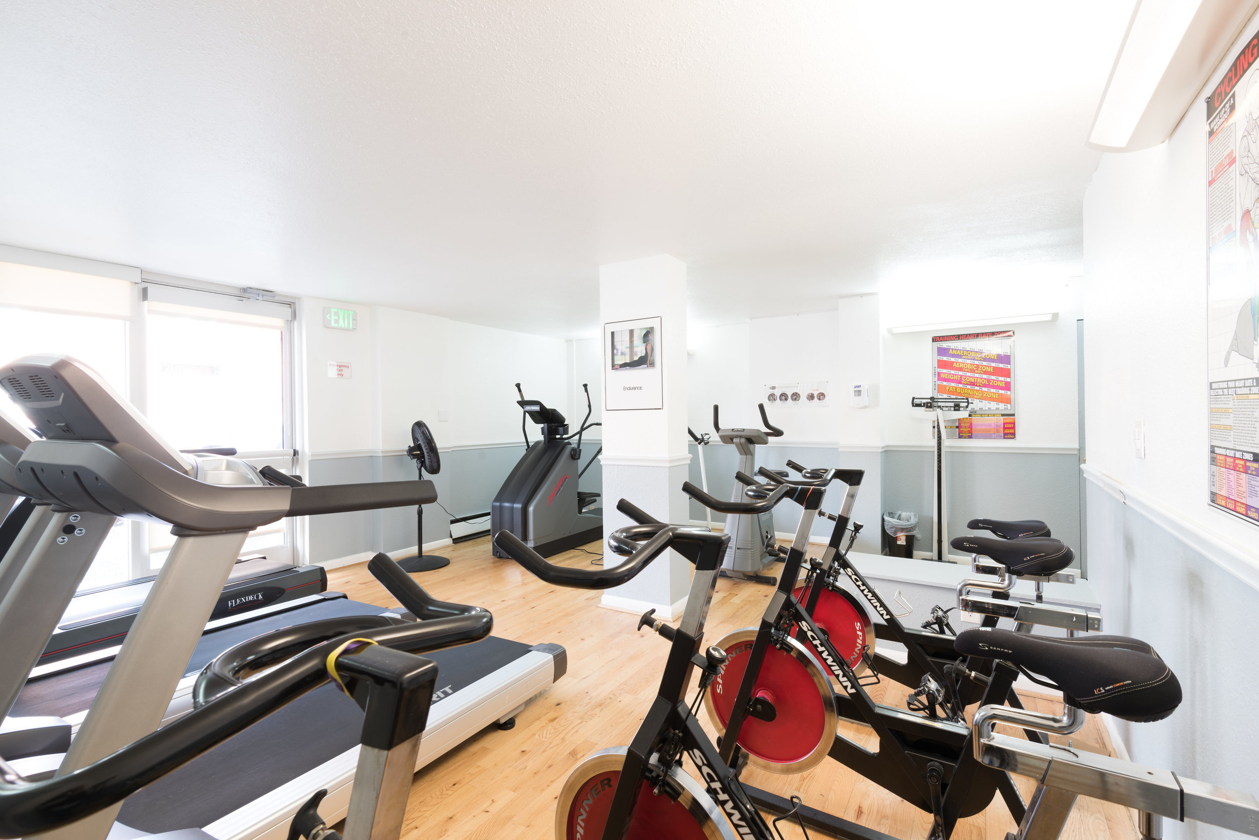 Cardio 2 WEB Featured.jpg