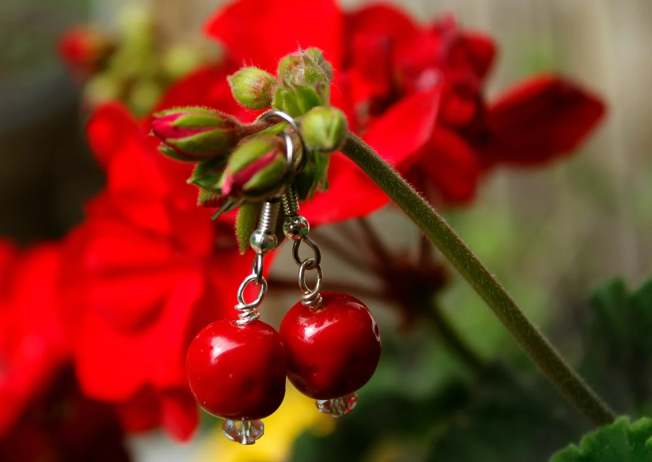 Red Delicious Earrings