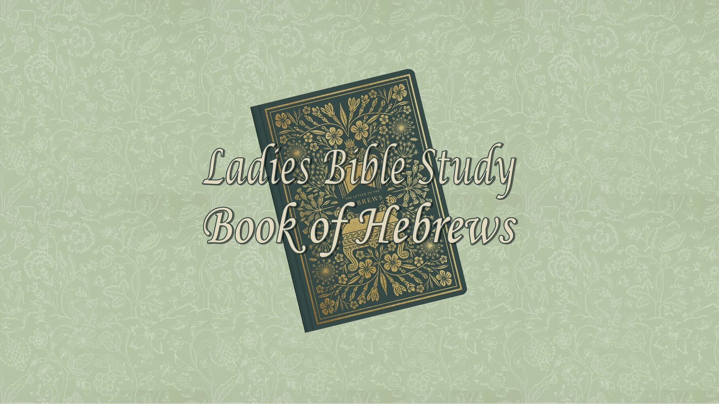 Ladies Bible Study