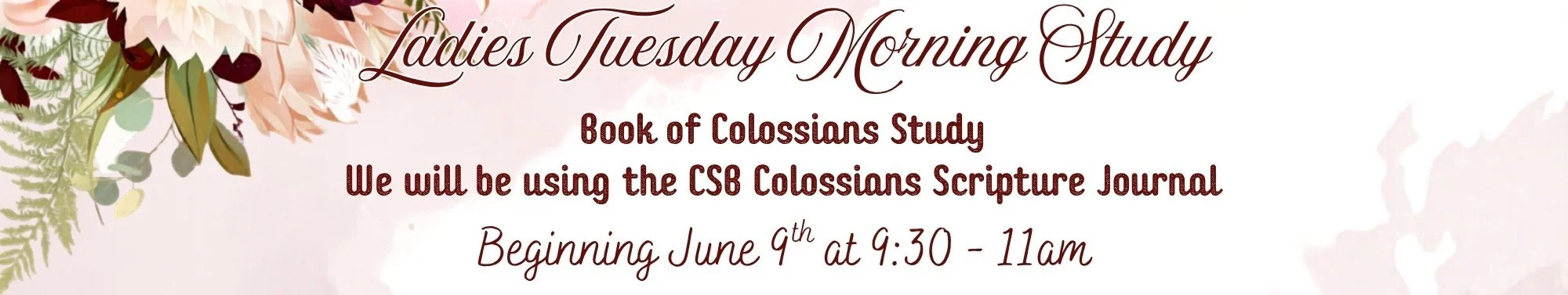 Ladies Colossians Study