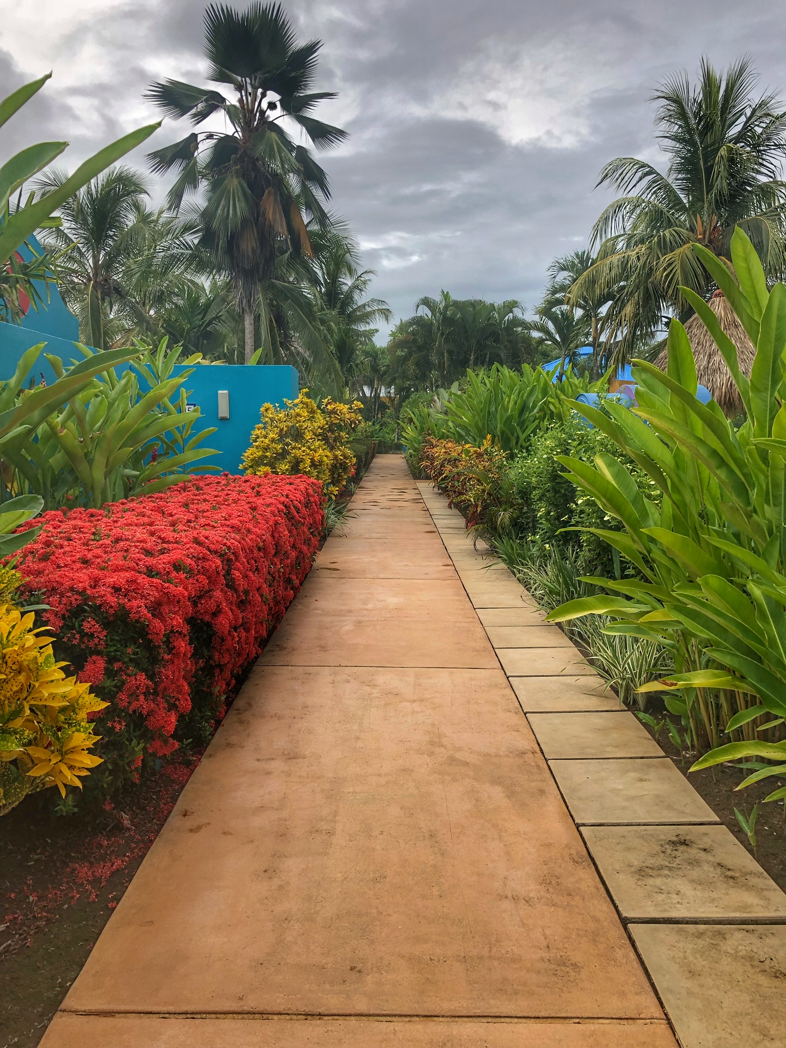 REFLECTIONS: Costa Rica