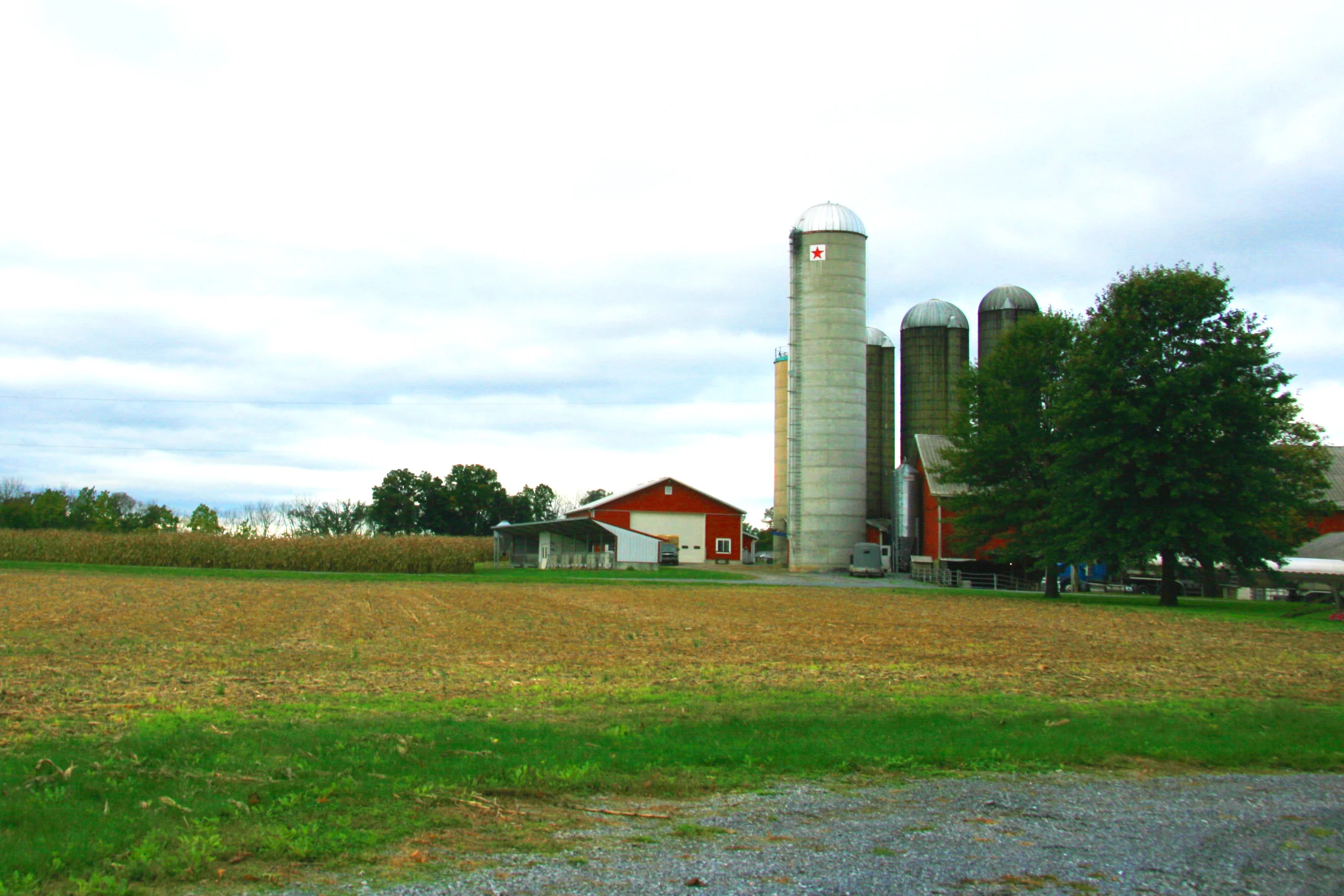 Mervin's farm in Lancaster, PA.