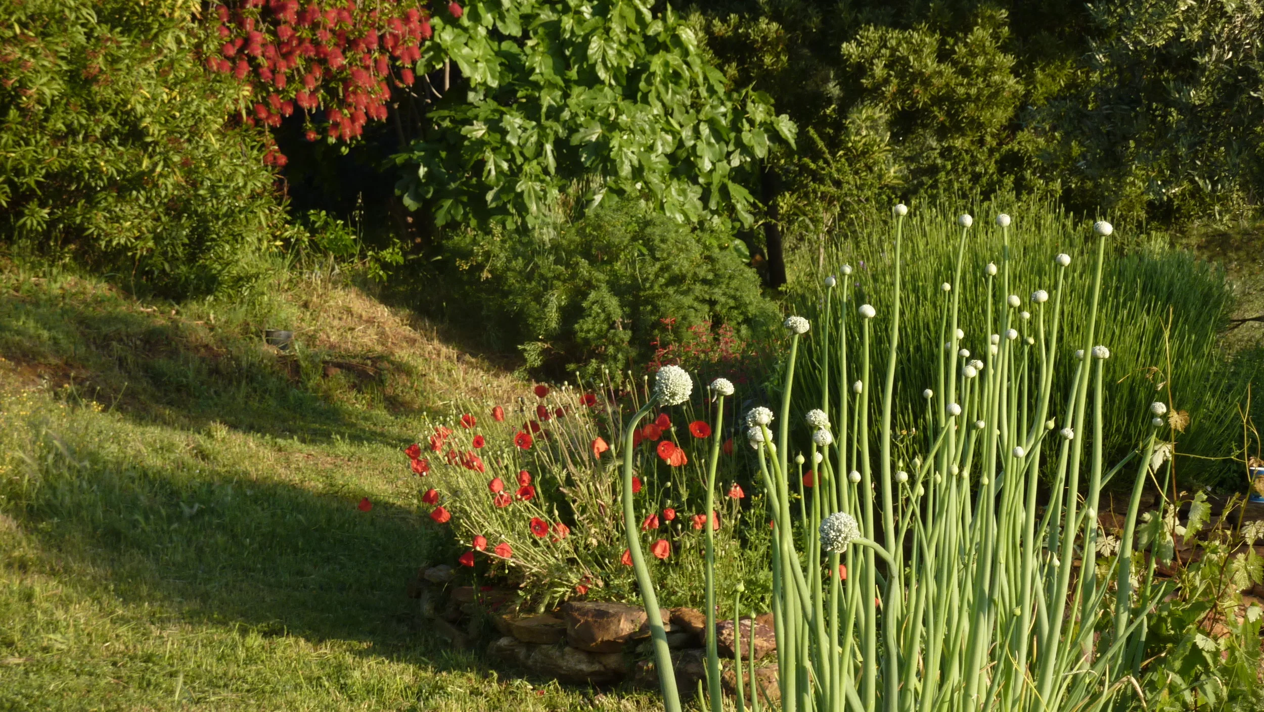 P1100055.JPG