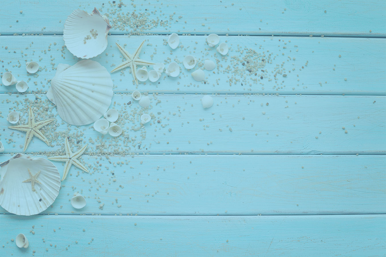 seashells-on-wood.jpg