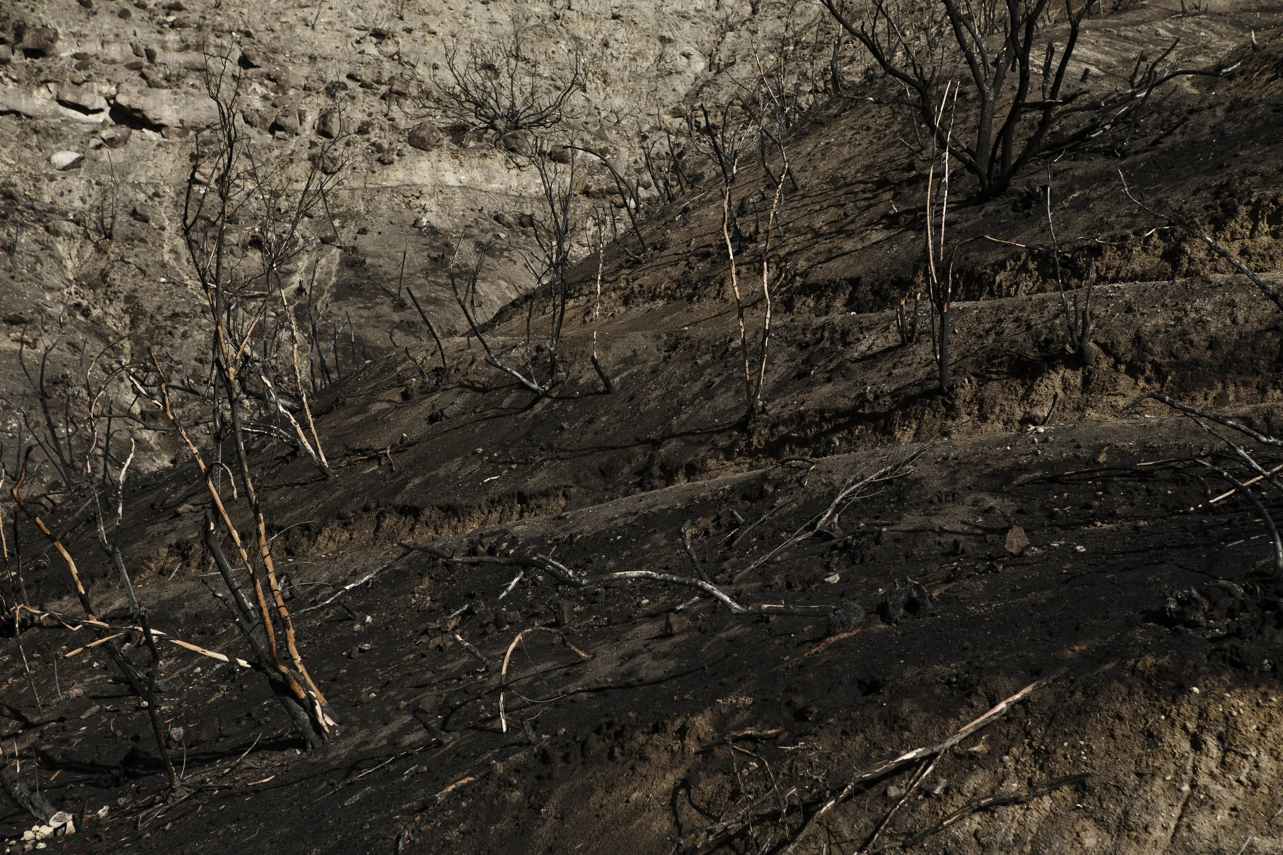 AldoChacon_Aftermath04.jpg