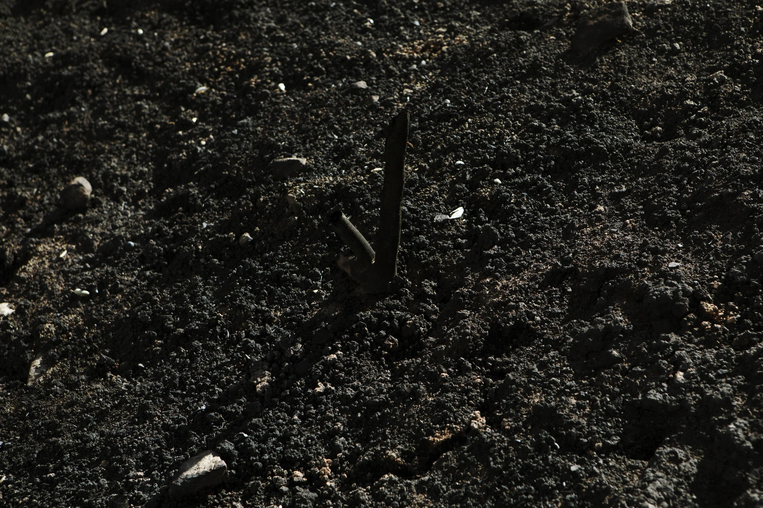 AldoChacon_Aftermath019.jpg