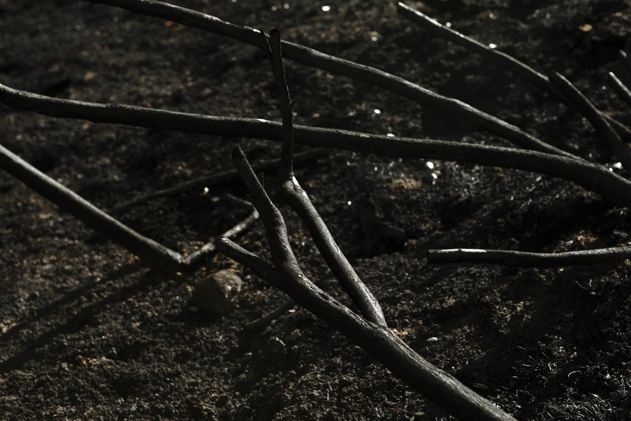 AldoChacon_Aftermath020.jpg