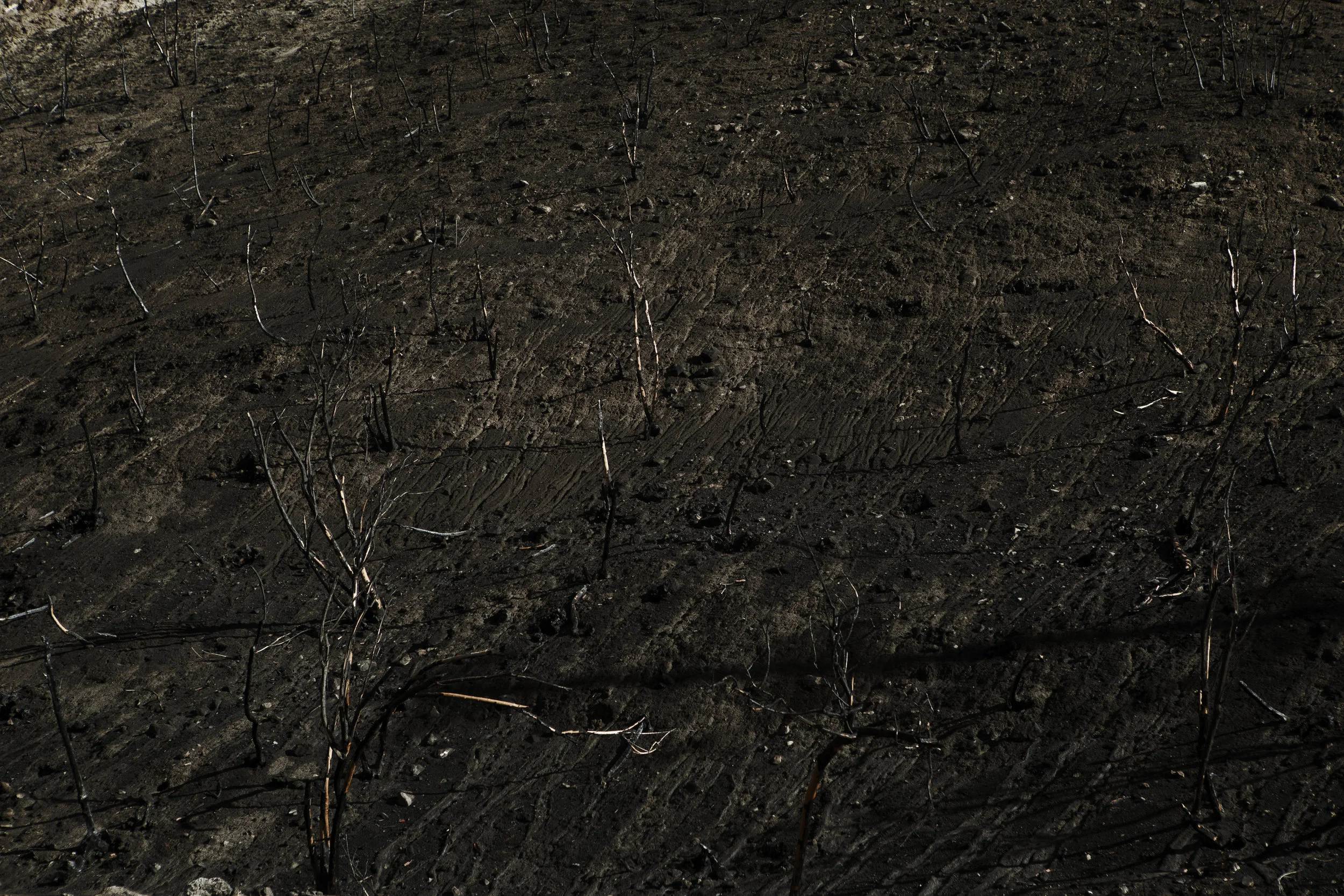 AldoChacon_Aftermath022.jpg
