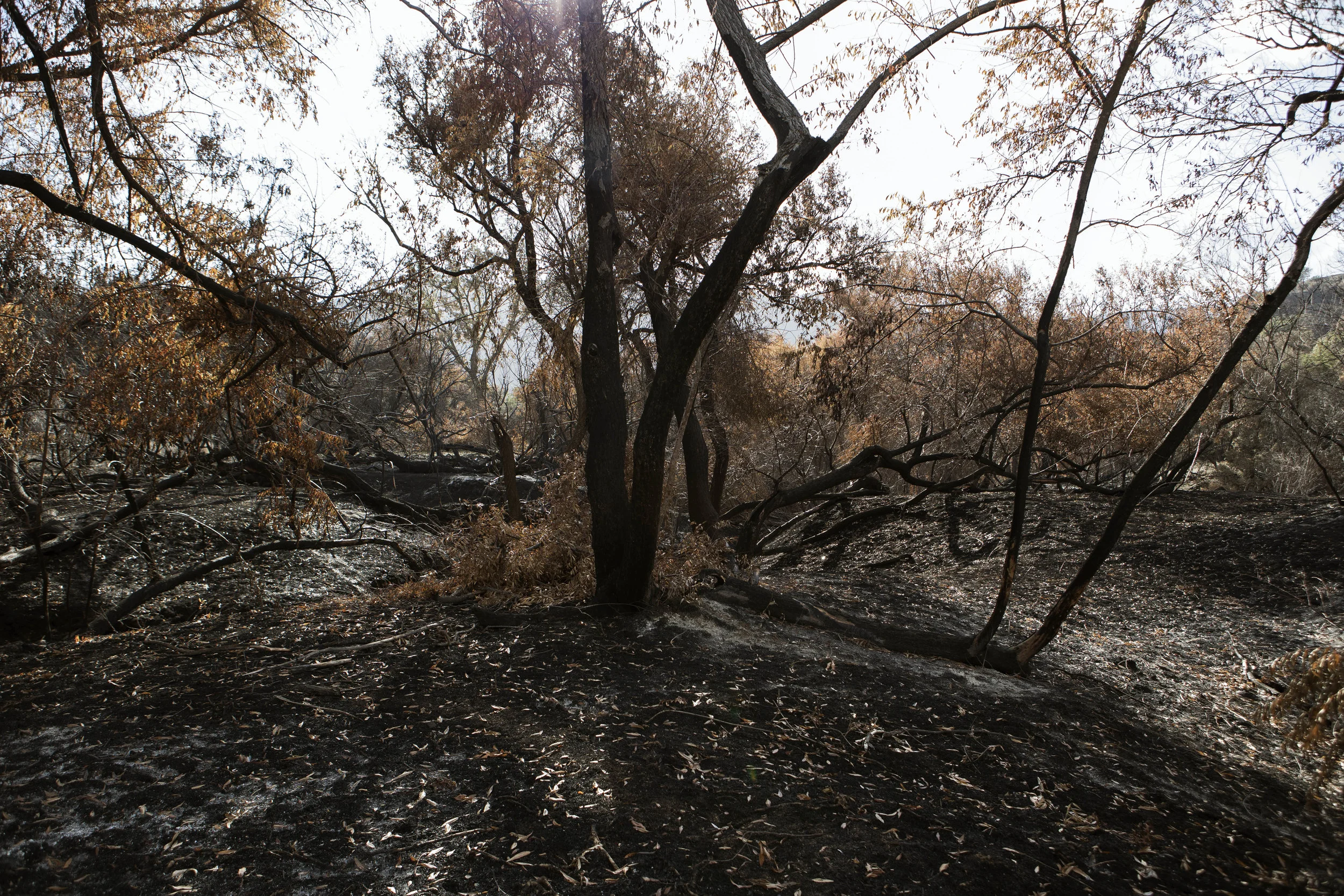 AldoChacon_Aftermath026.jpg
