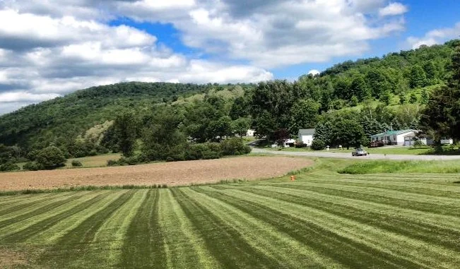 broedel lawn.jpg