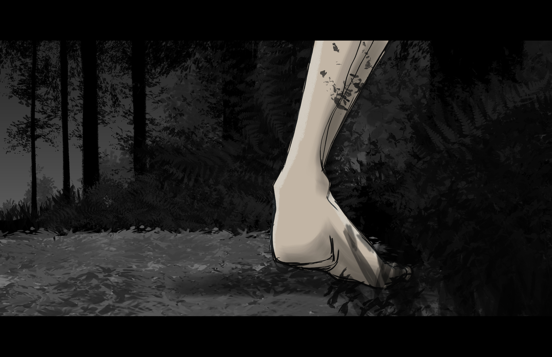 RS_Boards_064.1.png