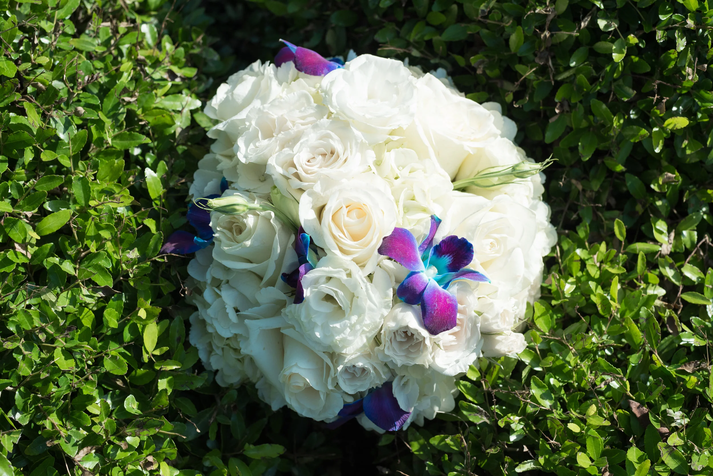 Carl-Kerridge-Photography-North-Beach-Wedding-May-2015-105.jpg