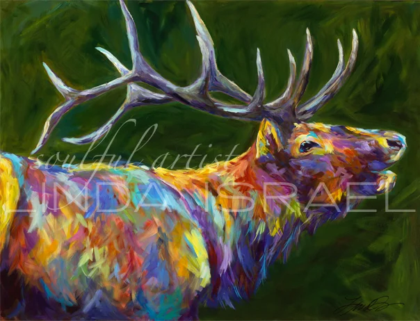 Rutting Season