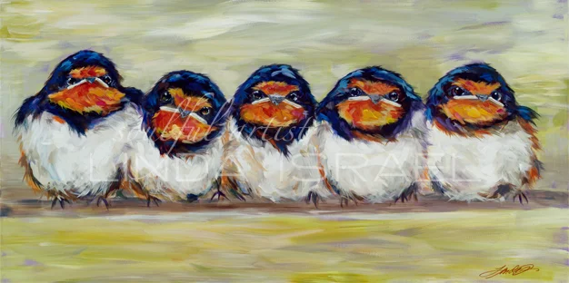 Birds of a Feather