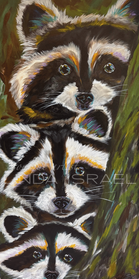 Zorro Bandits