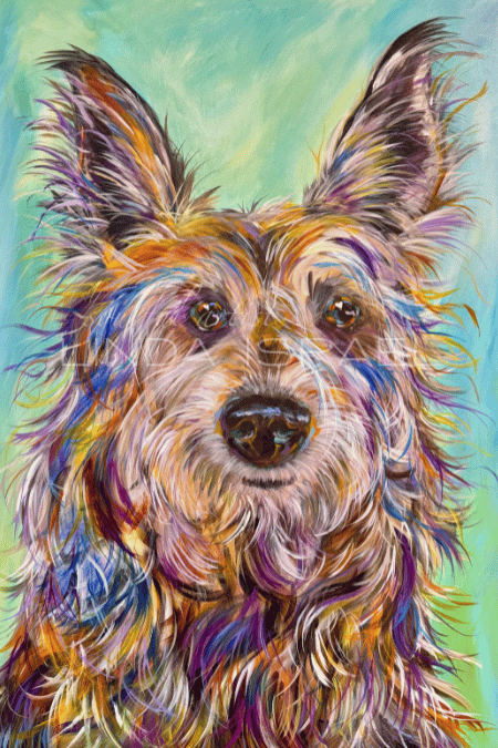 Piper