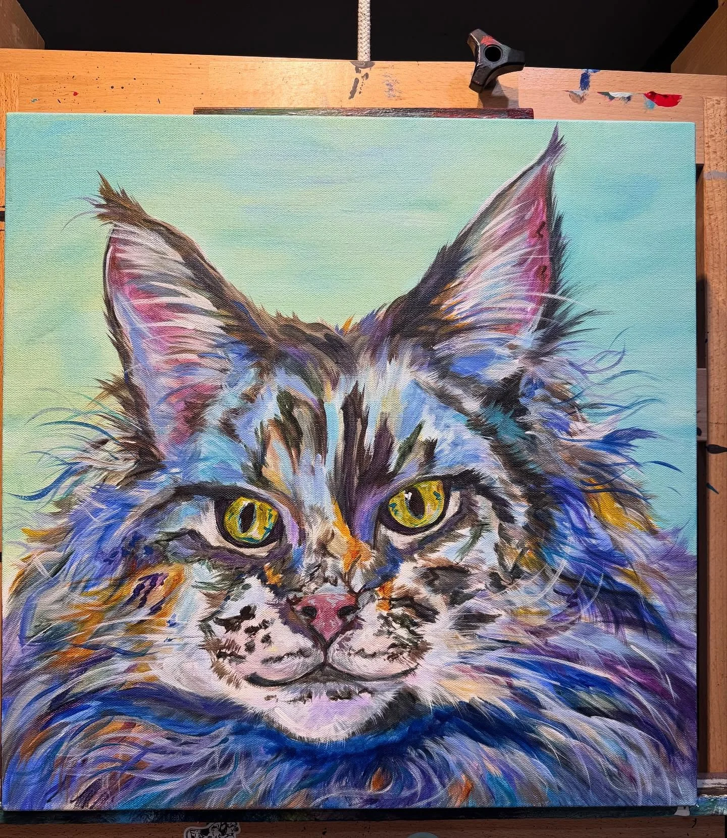 Meet Sasha!  MEOW
#cats_of_world #catpainting #cats #contemporaryart #catportraits #watchoutmice #commissionart #portrait #loveofportraits #paintfromyoursoul #animalsarethebest #mainecooncat #bigcatsofinstagram #fluffycatsofinstagram #largecat
