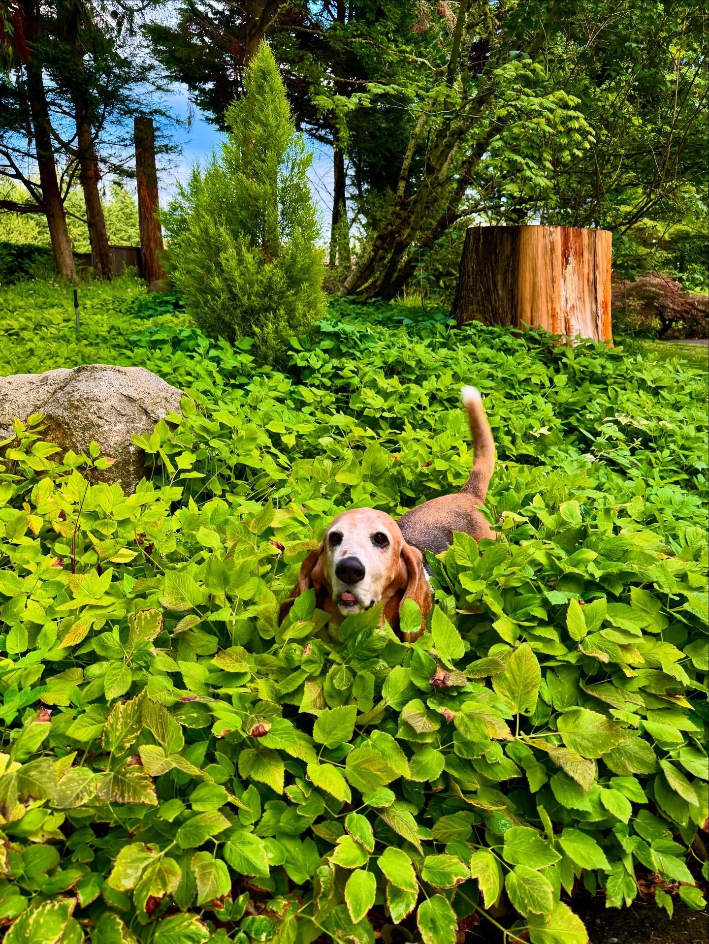 &ldquo;Did someone say treats?&rdquo;