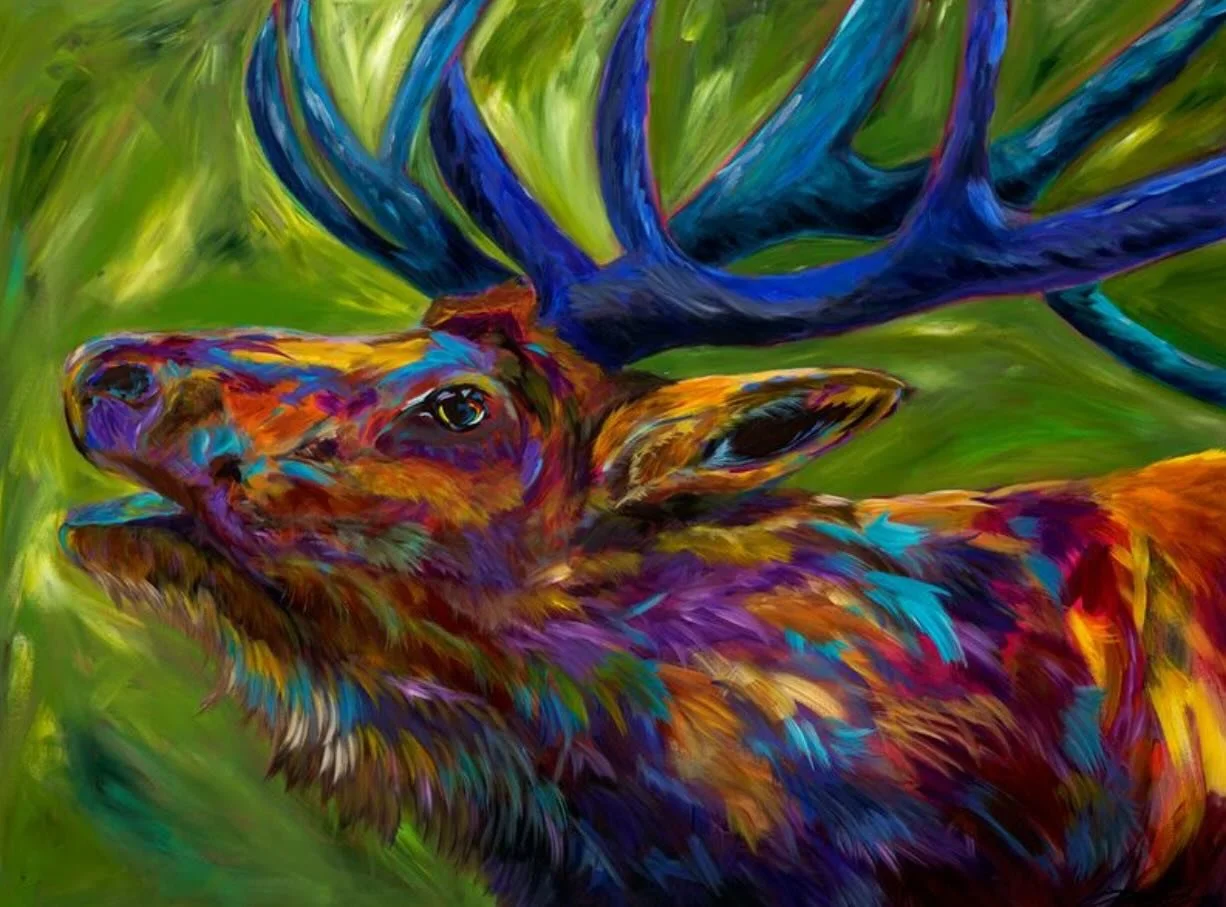 &ldquo;Bugle Boy&rdquo; 36&rdquo; x 48&rdquo; 
#elk #rutting #ruttingbulls #ruttingseason #rockymountainnationalpark