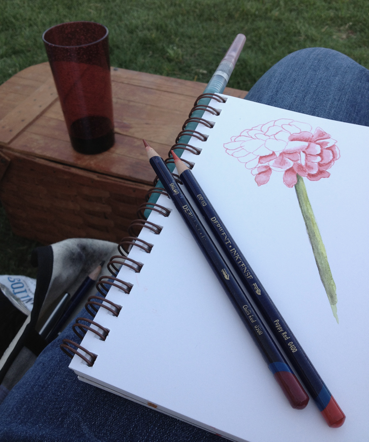 journalinthepark.jpg
