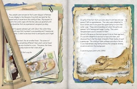 Screenshot 2025-03-20 at 9.29.54 PM.jpeg