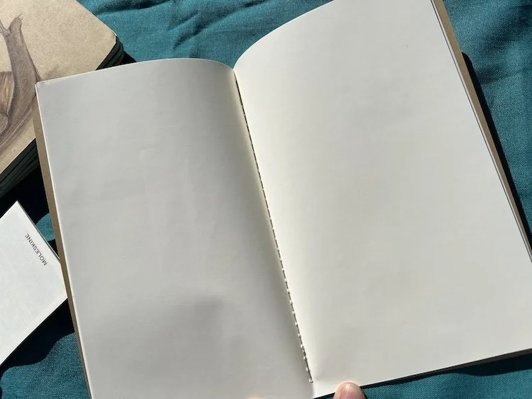 MoleskineOpn.jpeg
