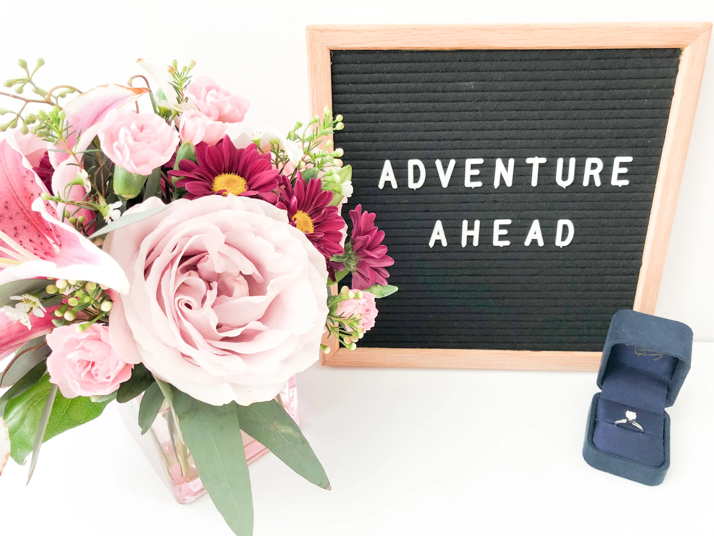 ERHALEY_Photography_Engaged _0012.jpg