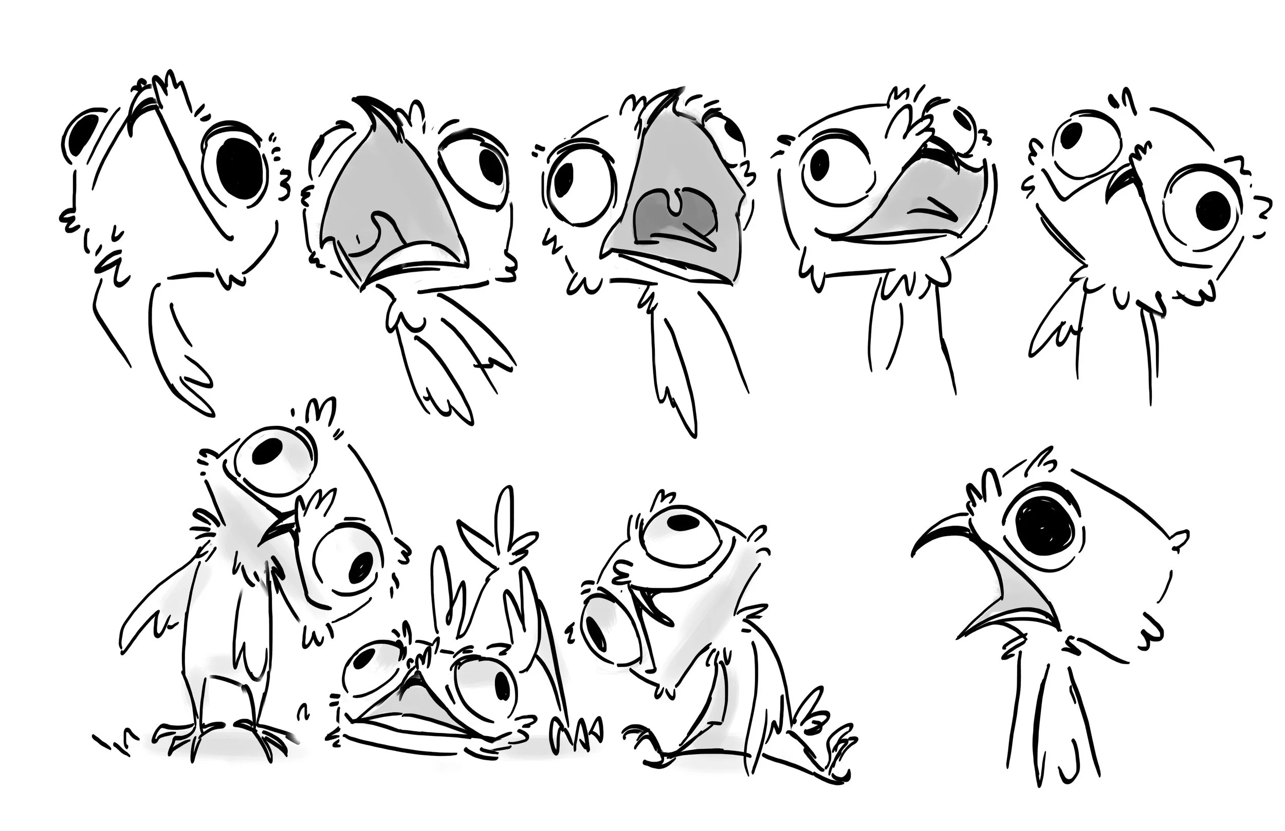 potoo bird .jpg