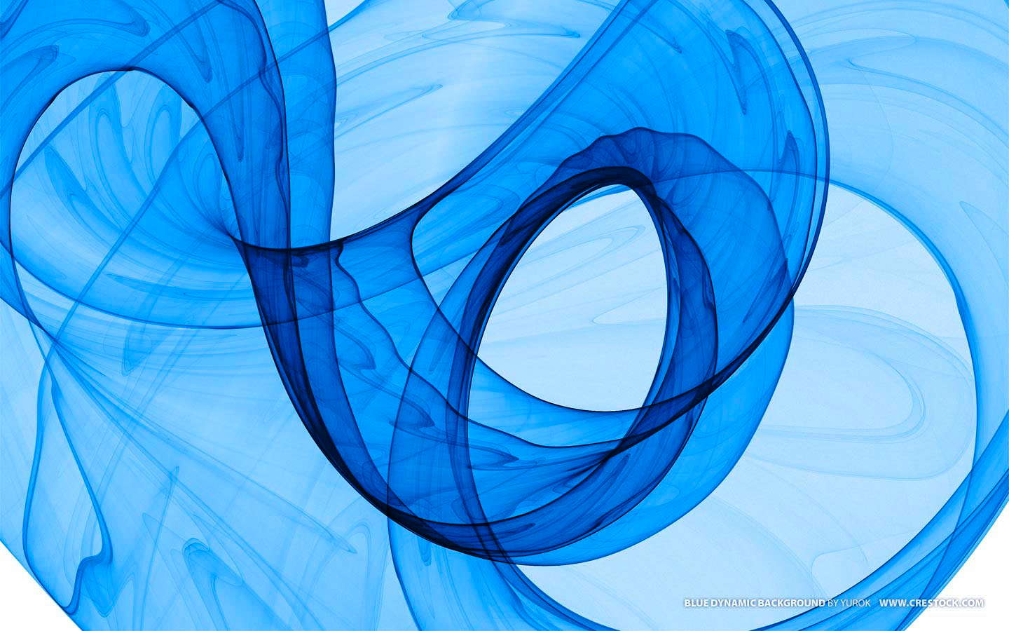 dynamic-002.jpg