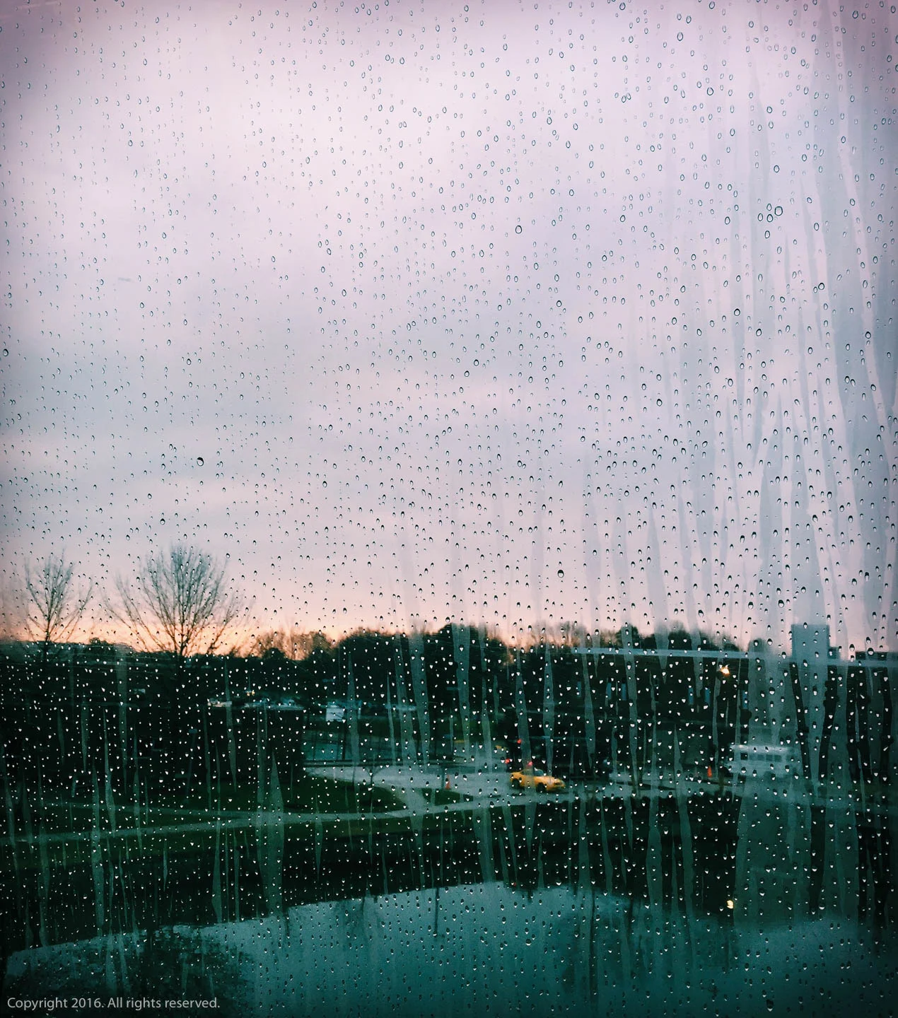 Rain Drops.jpg