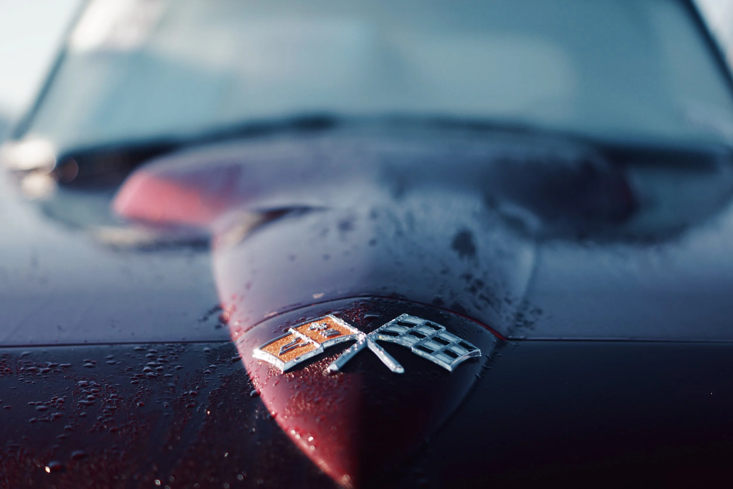 DBC92BA8-C56D-4F04-B02D-369B7DD0D185.jpg