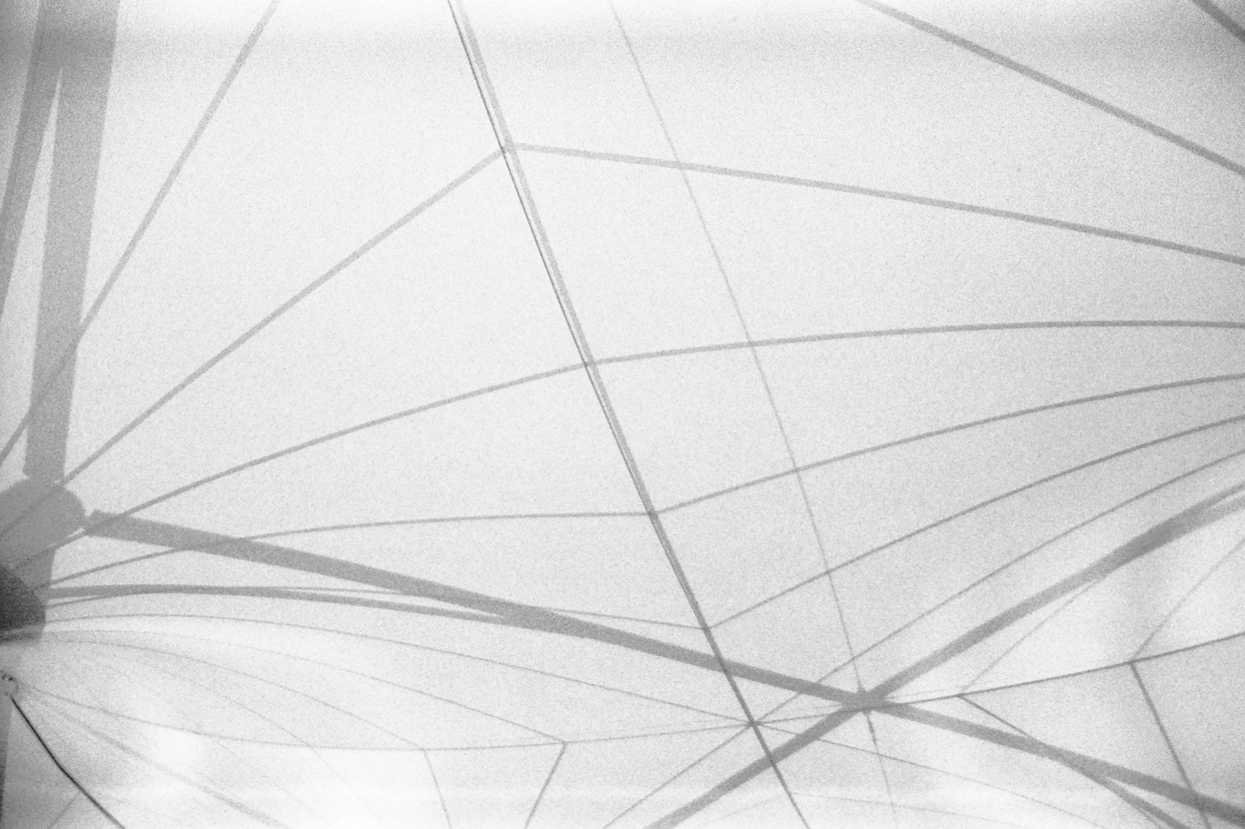 Canopy
