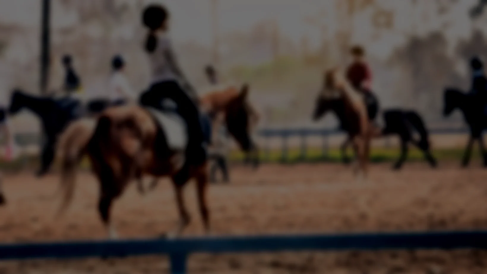 Horsebackriding_Summercamp_musthaves.jpg.webp