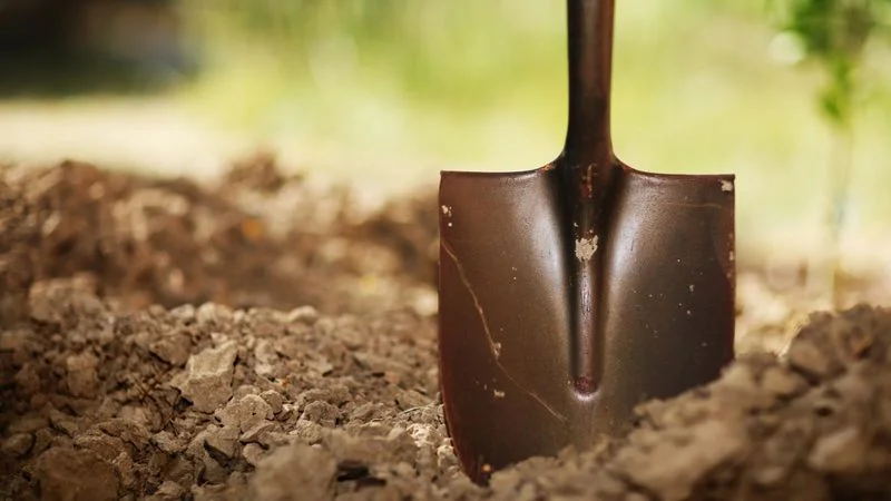 Shovel.jpg