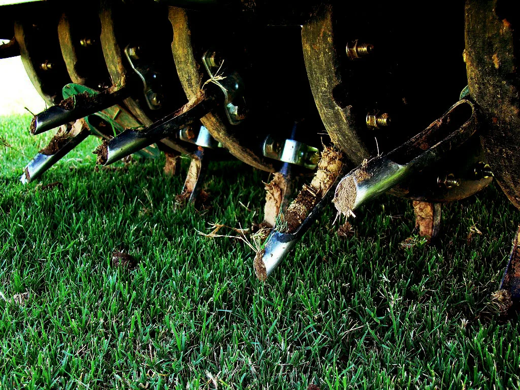 aeration1.jpg